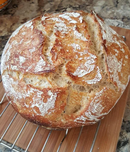 Vista 3 de San Francisco - Iniciador de masa madre deshidratada y seca para hornear pan, iniciador de masa agria, iniciador de pan de masa madura, el mejor