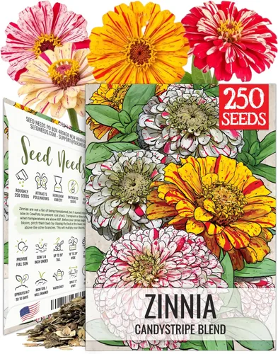 Vista 23 de Seed Needs State Fair - Semillas de zinnia para plantar flores cortadas mixtas, 1 paquete 4-Mezclado