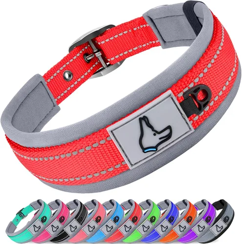 Vista 7 de Joytale Collar para perros pequeños, de neopreno acolchado y ajustable, collares para mascotas reflectantes, anchos y resistentes, con hebilla