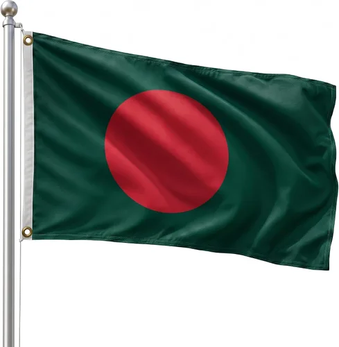 Vista 53 de DMSE - Bandera nacional beninesa beninesa de la República de África Occidental, 2 x 3 pies, 100 % poliéster, 100 % poliéster, resistente a los rayos