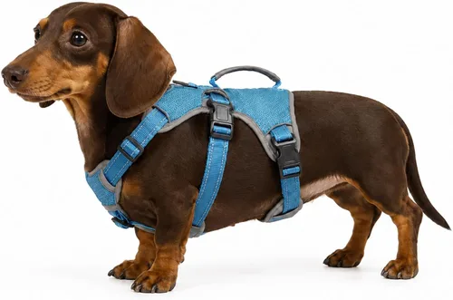 Vista 9 de Arnés de perro multiusos con soporte, arnés reflectante a prueba de escapes sin tirones ajustable con asa duradera, arnés para caminar para perros