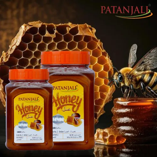 Vista 4 de PATANJALI Miel 500G
