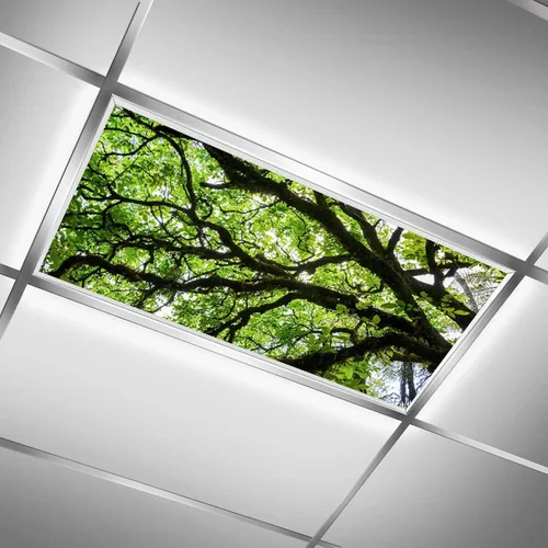 Vista 30 de Cubiertas de luz fluorescente para luces de techo de aula – Película retroiluminada de 2x4 pies para luminarias fluorescentes, fácil de instalar