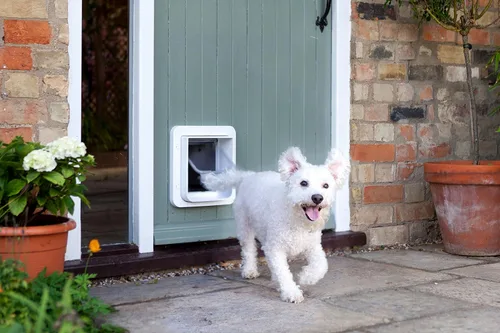 Vista 4 de SureFlap - Puerta para mascotas con microchip Sure Petcare (blanca)