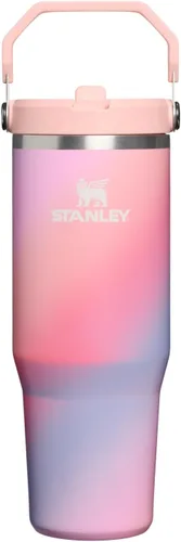 Vista 147 de STANLEY IceFlow 2.0 - Vaso con pajita, 14 onzas, color verde primavera