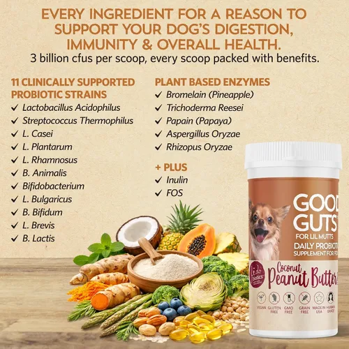 Vista 7 de Fidobiotics Good Guts Probióticos para perros – Polvo probiótico para perros para la salud digestiva, alivio de gases y heces más firmes, 3B UFC