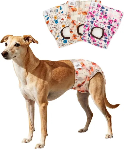 Vista 28 de CuteBone - Pañales para perras, paquete de 3 unidades para perritos, talla XS, D14XS