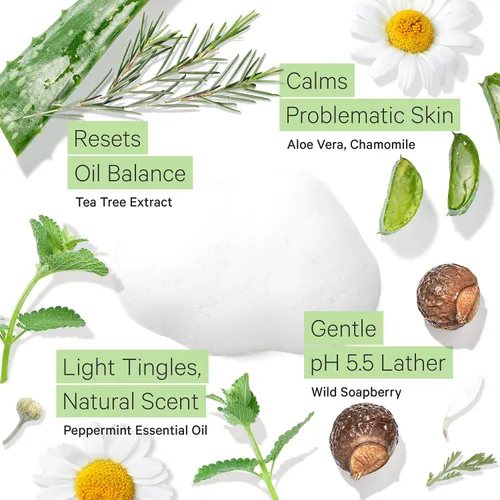 Vista 5 de Tree to Tub Hidratante facial antienvejecimiento con retinol para piel seca y sensible, lavado facial para pieles mixtas grasas, antiarrugas, ácido