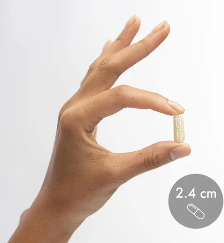 Vista 6 de Dr. Mercola L-Arginina Advanced, 30 porciones (90 cápsulas), 1,000 mg por porción, suplemento dietético, apoya la producción de energía, sin OMG