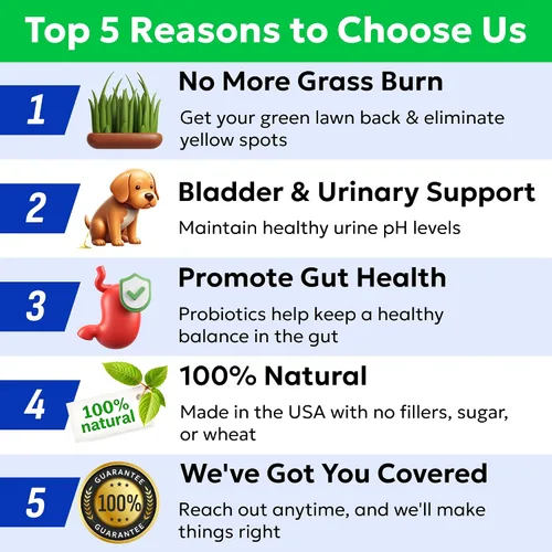 Vista 7 de BARK&SPARK Green Grass - Masticables para perros – Neutralizador de orina y orina para césped, mastica quemaduras de hierba con probióticos y Verde