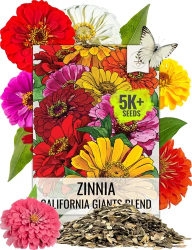 Vista 22 de Seed Needs State Fair - Semillas de zinnia para plantar flores cortadas mixtas, 1 paquete 4-Mezclado