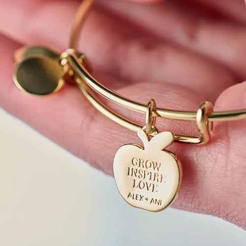 Vista 3 de Alex and Ani Pulsera de agradecimiento al profesor
