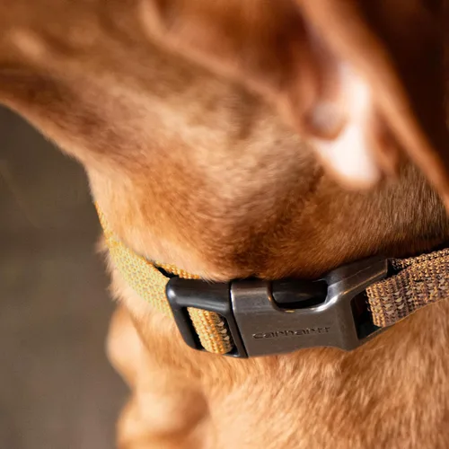 Vista 6 de Carhartt Collares de cincha totalmente ajustables de nylon para perros, costuras reflectantes para visibilidad, Mediana