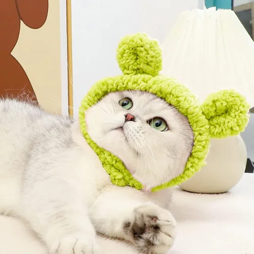 Vista 6 de JOICEE - Lindo disfraz de gato - Cálido sombrero de oso para mascotas pequeñas (color aguacate)