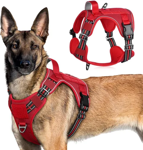 Vista 43 de rabbitgoo Arnés táctico para perros pequeños, chaleco de servicio militar sin tirones con asa y Molle, de fácil control para entrenar y caminar