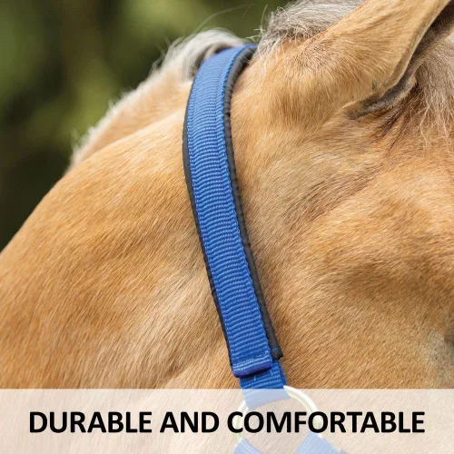 Vista 4 de Dura-Tech Cabestro de caballo totalmente acolchado de lujo Superposición de tela de nailon de doble capa de 1 pulgada Hardware resistente