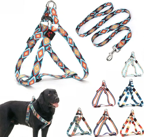 Vista 7 de Juego de arnés y correa para perro, bonito patrón sin tirones, chaleco halter para cachorros, para exteriores, fácil caminar para razas pequeñas