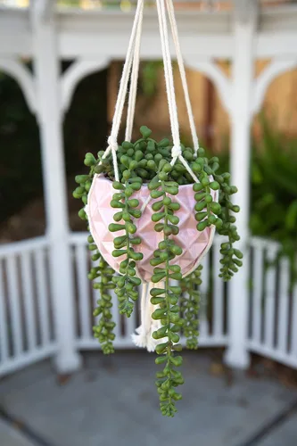 Vista 5 de Flora Bunda Maceta colgante para suculentas de 5 pulgadas de cerámica macramé rosa brillante