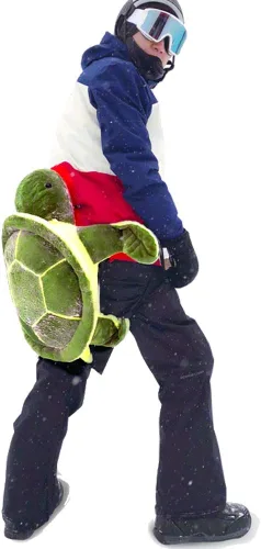 Vista 8 de Protective Gear for Skiing Skating Snowboarding Cute Turtle Tortoise Cushion Green
