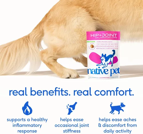 Vista 3 de Native Pet Aceite Omega para perros de 8 onzas – Suplementos de aceite de pescado y alivio – Masticables antiinflamatorios para perros – 60