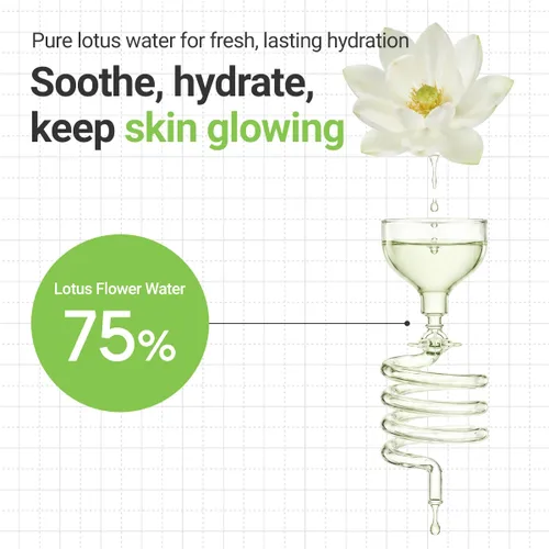 Vista 4 de ROVECTIN Crema calmante Lotus – Crema facial hidratante ligera y calmante para pieles sensibles 75% de extracto de agua de loto y niacinamida