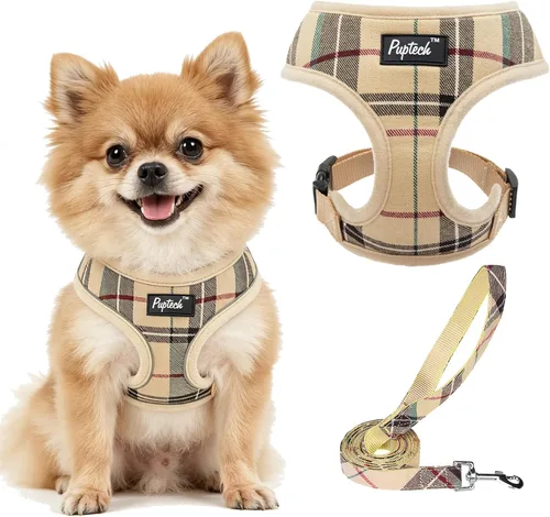Vista 33 de PUPTECK Juego de arnés y correa de malla suave para perro, cachorro y gato, cómodo chaleco acolchado sin tirones, azul Pascua, S