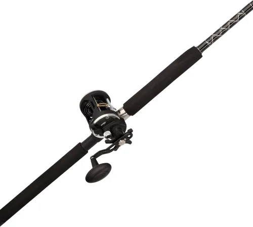 Vista 12 de Penn Rival II Level Wind Conventional Rod and Reel Combo