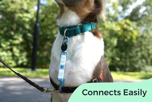 Vista 4 de Gentle Creatures Collar Companion - Clip de respaldo de poli reforzado e impermeable para arnés de perro, collares de púas, collares de pinchos