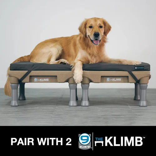 Vista 4 de Blue-9 Pet Products Restore+ Cama doble para perro, duradera, resistente al agua y diseño lavable, 24 x 48 pulgadas