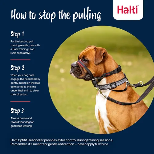 Vista 4 de Collar para perros con ajuste a la cabeza Halti Opti, mediano