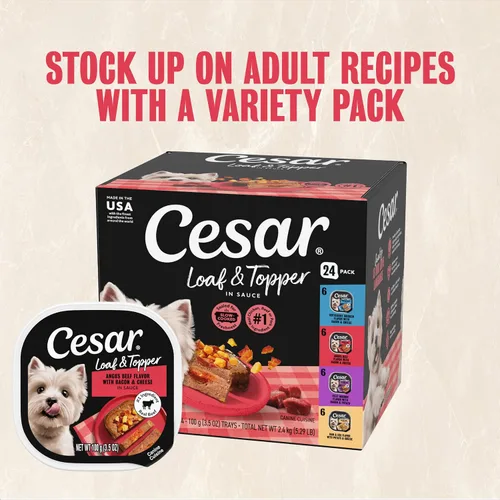 Vista 12 de Comida enlatada para perros adultos,sabor césar, Carne Beef #1 ingredient, easy to digest, no fillers or added sugar, complete & balanced, use as