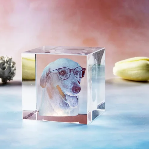 Vista 2 de Cubo de fotos de cristal 3D personalizado con luz, marco de fotos conmemorativo para mascotas, regalo de condolencias para mujeres y hombres