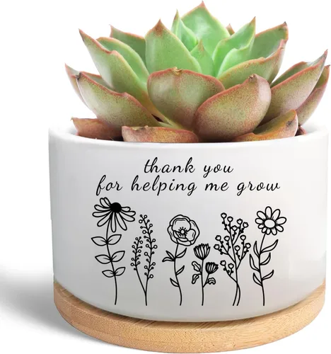 Vista 9 de Regalos inspiradores para mujeres, bonita maceta para suculentas, maceta de cactus para amantes de las plantas, regalo motivacional de animación