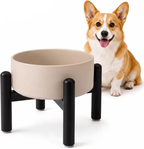 Vista 24 de Juego de cuencos elevados de cerámica para perros con soporte, 2 tazas de Negro