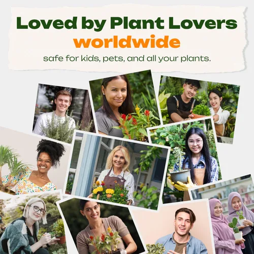 Vista 5 de RichFarm Booster, polvo orgánico para la condición del suelo, estimulador de raíces para plantas de interior, funciona con cualquier fertilizante