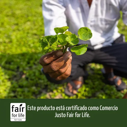 Vista 6 de Banyan Botanicals Brahmi/Gotu Kola Tablets - USDA Organic - 90 tabletas - Centella asiática - Apoya la concentración, el estado de alerta y un
