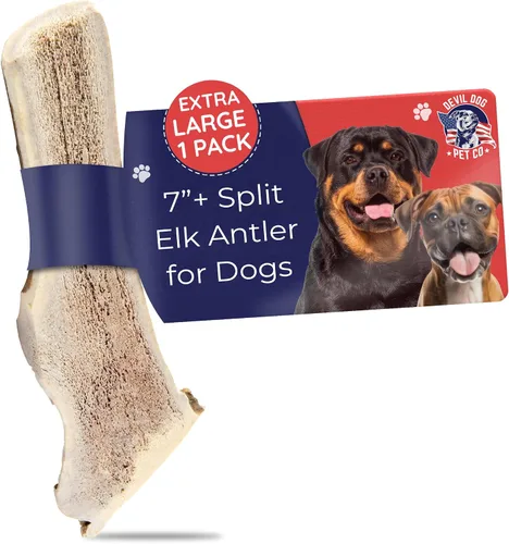 Vista 21 de Devil Dog Pet Co. Cuernos de alce divididos para perros, masticables naturales para perros con médula expuesta, larga duración y sin olor