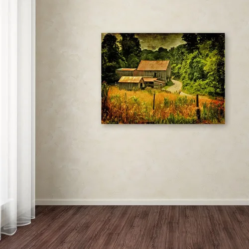 Vista 3 de Trademark Fine Art Lienzo decorativo para pared de camino campestre en verano por Lois Bryan, 14 x 19 pulgadas