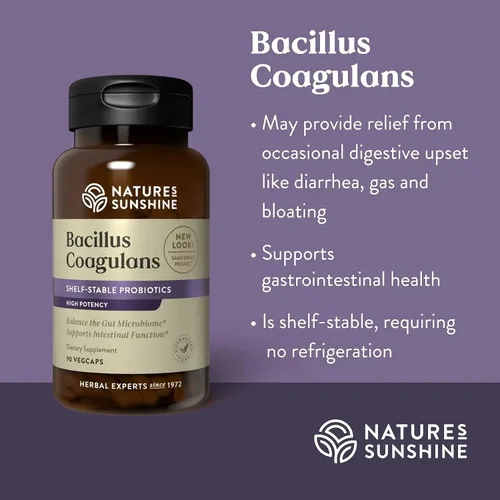 Vista 2 de Nature's Sunshine Bacillus Coagulans, NutriBiome - 90 Vegicaps