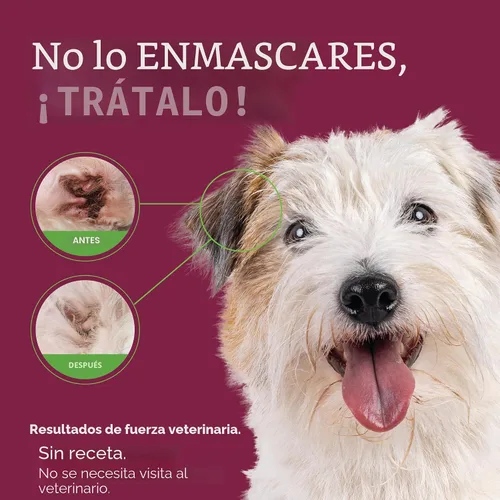 Vista 3 de Vetality Gotas óticas medicadas para tratamiento de infección de oído de perro, 2 onzas líquidas