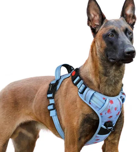 Vista 20 de Rabbitgoo - Arnés para perro de tamaño pequeño, arnés para mascotas sin tirones con 3 hebillas, chaleco acolchado suave ajustable con mango