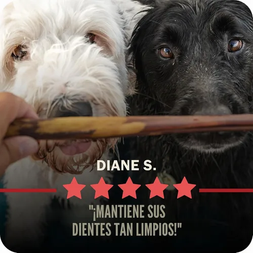Vista 11 de Redbarn Pet Products All Natural Bully Sticks de 5 a 8 pulgadas para perros pequeños y grandes – Paquete variado de masticables saludables de larga