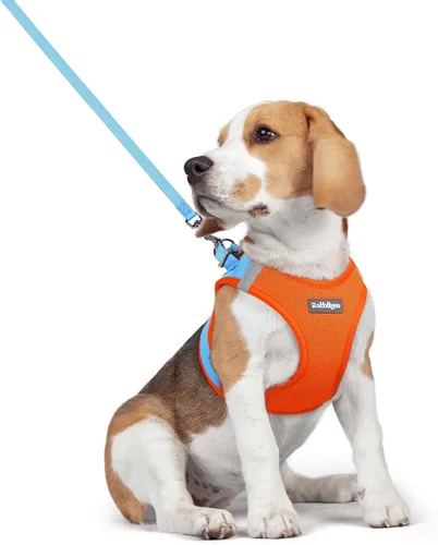 Vista 127 de rabbitgoo Arnés para perro de tamaño pequeño y juego de correa, chaleco Cachorros de manzana