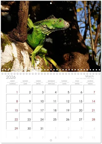 Vista 7 de REPTILES (calendario mensual de pared 2022 11.7 x 16.3 in (abierto)