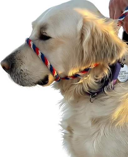 Vista 5 de Not So Fast Rover - Collar para la cabeza de perro sin tirones, talla única, de primera calidad, corrige los tirones de tu perro para paseos más