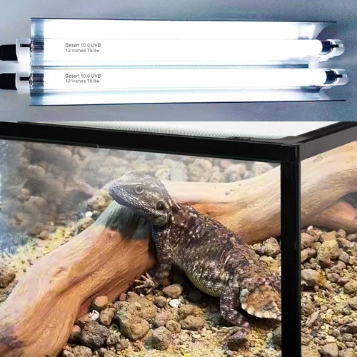 Vista 5 de Celiwace T5 - Kit combinado de lámpara de reptil de 16 vatios, luz UVB de 12 pulgadas, 2 x 8 vatios, lámpara de reptil T5 10.0 UVB, luz de reptil