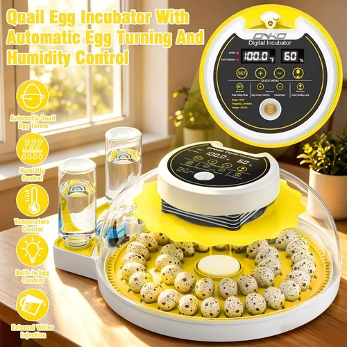 Vista 2 de Incubadora de huevos de codorniz 40 con huevos de control de humedad de Amarillo