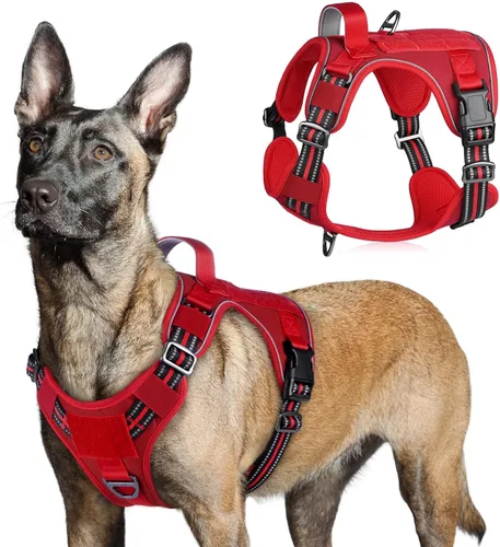 Vista 11 de rabbitgoo Arnés táctico para perros pequeños, chaleco de servicio militar sin tirones con asa y Molle, de fácil control para entrenar y caminar