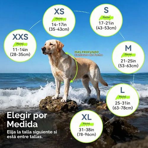 Vista 6 de VIVAGLORY Chaleco salvavidas para perros Rip Stop, chaleco de natación con asa, flotabilidad para perritos cachorros, chaleco salvavidas para perros