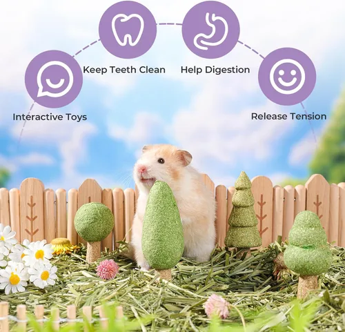Vista 5 de mini&moe Juguetes masticables de hámster para dientes – 5 juguetes masticables de conejillo de indias desmontables naturales comestibles